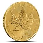 1 oz Canadian Gold Maple Leaf Coin (Random Year, .9999 Pure)