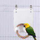 Parrot Foot Exercise Toy Acrylic Cotton Rope Mirror Colorful Hanging Bird