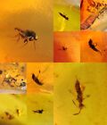 10 pieces authentic Burmite Myanmar Amber insect fossil dinosaur age 4.25-10