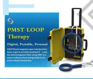Pemf Pulsed Magnetic Therapy Pmst Double Loop Pain Relief Rehabilitation Machine