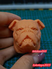 1:6 1:12 1:18 British Bulldog Pet Dog Animal Head Sculpt For 12