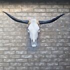 New ListingSteer Cow Skull 3  feet 7   1/2   inches w Polished Bull Horns home decor (928)