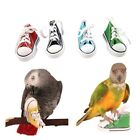 Mini zapatos de lona para pájaros y loros, calzado de decoración para mascotas,