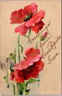 Coon Rapids IA Poppies Poppy Flowers Greetings Iowa 1908 postcard DP4