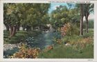 Tyringham, MA - Willows along Hop Brook - Vintage Massachusetts Postcard