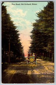 Old Orchard, Maine ME - The Pine Road - Roadside Attractions - Vintage Postcard