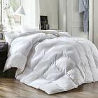 Light Comforter White Goose Down and Soft Tiny Feather Fill King Size 100%Cotton