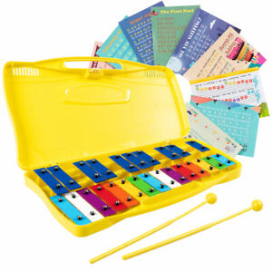25 Notes Kids Glockenspiel Chromatic Metal Xylophone w/Yellow Case and 2 Mallets