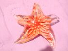 Murano glass starfish pendant. large bail