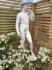 Michelangelo David Sculpture in Stone david Garden figure Male nude statue