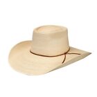 Reata3 - Western Straw Hat - Natural