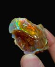 Ethopian opal rough big large jumbo size 205 carat collector piece Raw Opal /