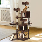 75 Inches Indoor Cat Tree Tall Cat Tower for Large Cats 20 lbs Cat Condo