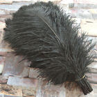 Wholesale 10-100pcs Natural Ostrich Feathers 6-24inches/15-60cm DIY Decoration