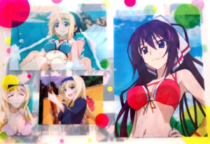 Japan Animation Infinite Stratos IS 1 clear file popular female characters item