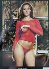 Red long sleeve boat neck fishnet camisole crop top & panty S M L ONE SIZE