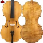 Barouqe style SONG profession maestro cello 4/4,huge and powerful sound #15046