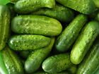 Homemade Pickles Cucumber Seeds, NON-GMO, Heirloom, Variety Sizes, FREE SHIPPING