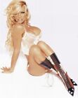 Pamela Anderson Sexy Blonde Posing 8x10 Picture Photo Print