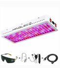 KINGLED 2000W LED Grow Light Double Chip Full Spectrum Greenhouse Indoor Plant