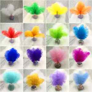 50 Pcs Hard Rod Plume 30 Color 20-25 CM/8-10 Inch Ostrich Feathers Diy Carnival