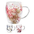 New ListingDry Flowers Double Wall Glass Cup Glass Tea Cup Double Wall Insulated Coffee Mug