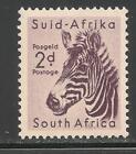 South Africa #203 (A101) VF MNH - 1954 2p Zebra