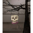 Bethany Lowe Halloween 2023 Mini Skully Skeleton Ornament TJ2315