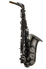 CANNONBALL A.sax A5-B iceB Raven Alto saxophone