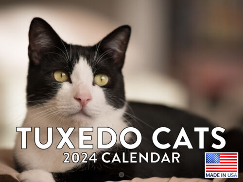 Tuxedo Cat 2024 Wall Calendar