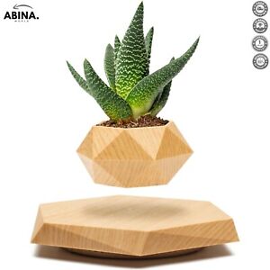 Levitating Plant Pot - Magnetic Floating Display for Small Plants (Wood)