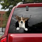 Jack Russell Terrier Car sticker, car decoration,dogs vinyl decal, pet decal