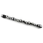 COMP Cams 07-305-8 Camshaft Hydraulic Roller Tappet Advertised Duration 276/290 (For: 1993 Pontiac Firebird Formula)