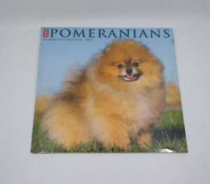 Just Pomeranians 2022 Wall Calendar (Dog Breed) 12
