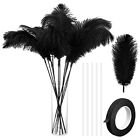 80 Pieces Ostrich Feathers Bulk Large Boho Feathers for Vase with 80 Pcs Iron Wi