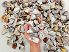 CRAZY LACE AGATE ROUGH STONES BULK FROM MEXICO RAW BANDED AGATE CRYSTALS