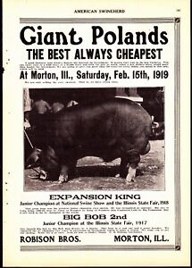 American Swineherd Hog Sales Ads ~ 1918 IL State Fair Champ Morton IL  George IA