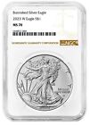 2023 W Burnished Silver Eagle NGC MS70 - Brown Label