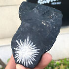 155G Natural chrysanthemum stone quartz carving aura healing gift E518