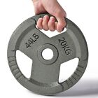 45 lb Weight Plates Pair 2 inch Olympic Cast Iron Barbell Home Gym Lifting