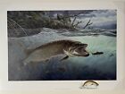 Terry Doughty  Artist Proof 13/85. On The Edge.. Remarque.. Image 25” By 16”
