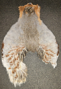 Hungarian Partridge Pelt, Premium Fly Tying Feathers, Select Hun Skin