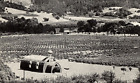 1940s Asti CA Vineyard Winery Church Shaped Like Wine Barrel Vintage Postcard