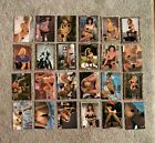 Hot Shots Adult Trading Cards. Vintage 1993 Edition