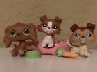 LPS lot With Accessories