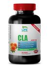 New ListingNatural fat burner - CLA 2495MG - cla supplements natural factors 1B