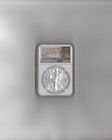 New Listing2020-P, Silver Eagle, Emergency Prod., Philly-Liberty, FDOI, MS-70, NGC