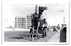 Postcard - Real Photo Karachi Camel Cart RPPC
