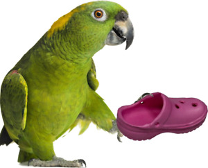 Super Bird Creations SB1192 Crocs 5 Pack Bird Foot Toys Parrot Foot Toy Bird Toy
