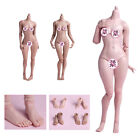 AT201 AT202 Worldbox Durable 1/6 Girl Body Female Figure 12